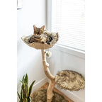 Wooden Cat Tree Tower