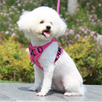 No Pull Dog Harness and Leash Set