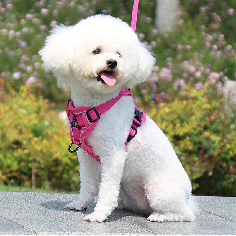 No Pull Dog Harness and Leash Set