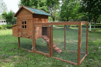 Chicken Coop/2-4 Chickens