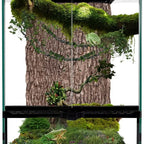 11 Gal Glass Terrarium Enclosure