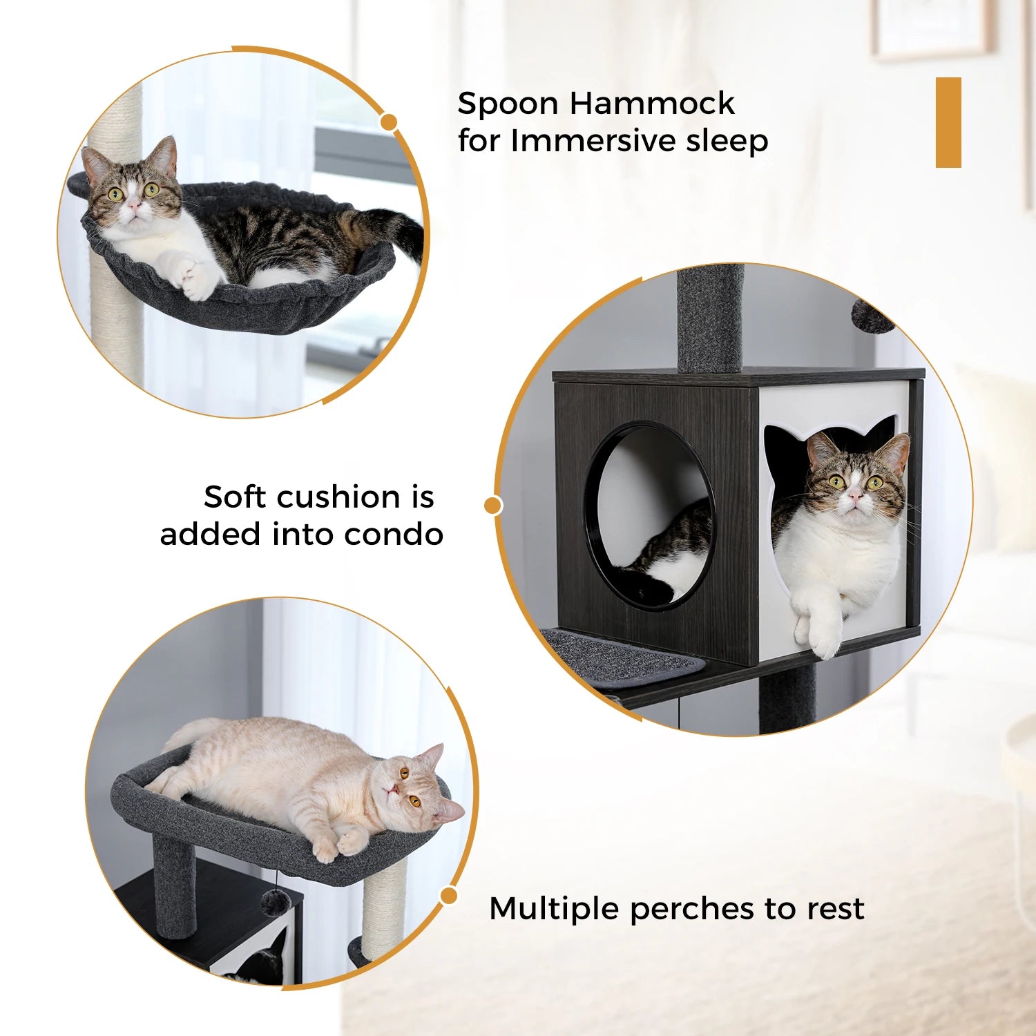 Multi-Level Cat Tree