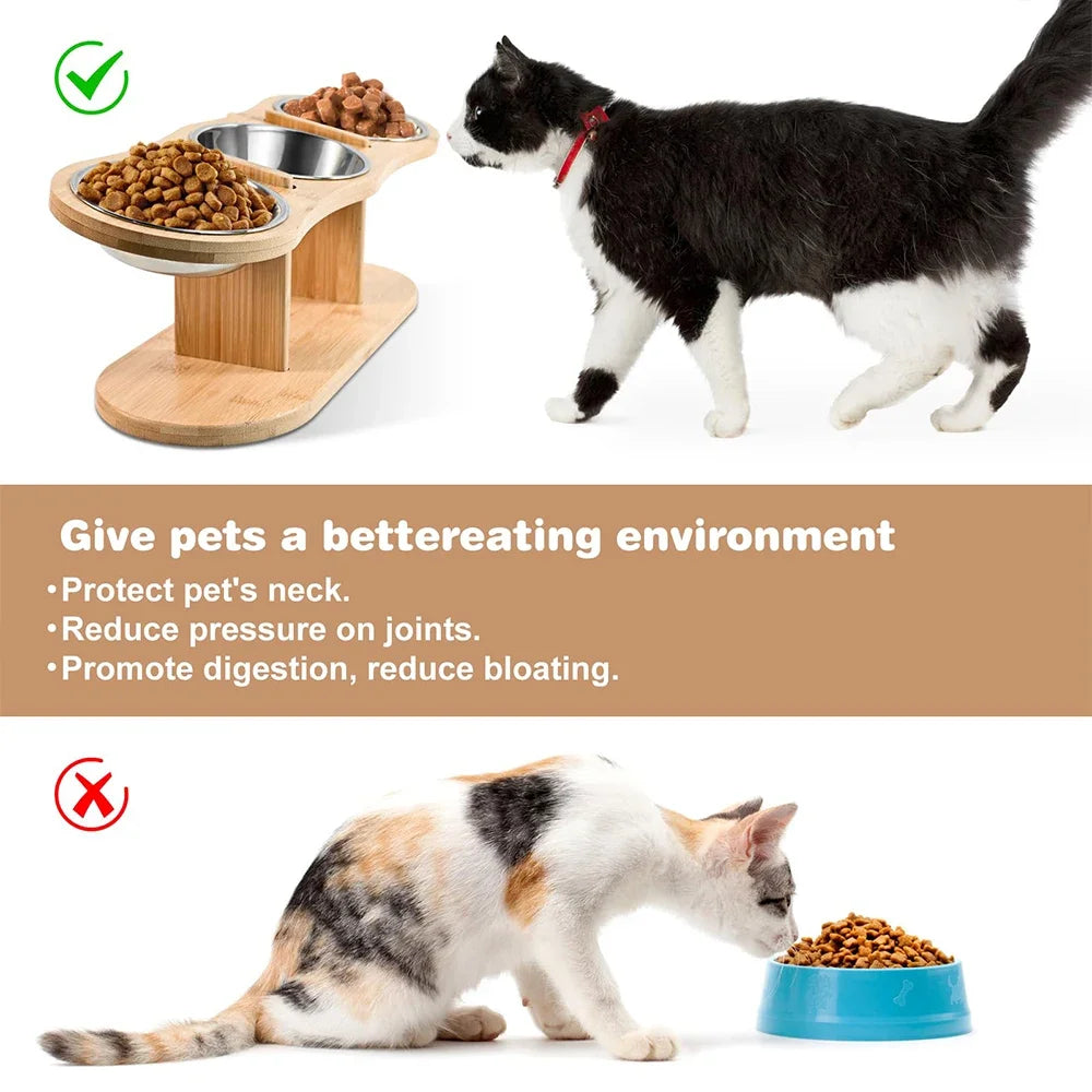 Raised Cat Feeder