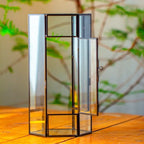 Small Glass Enclosure for Jumping Spiders