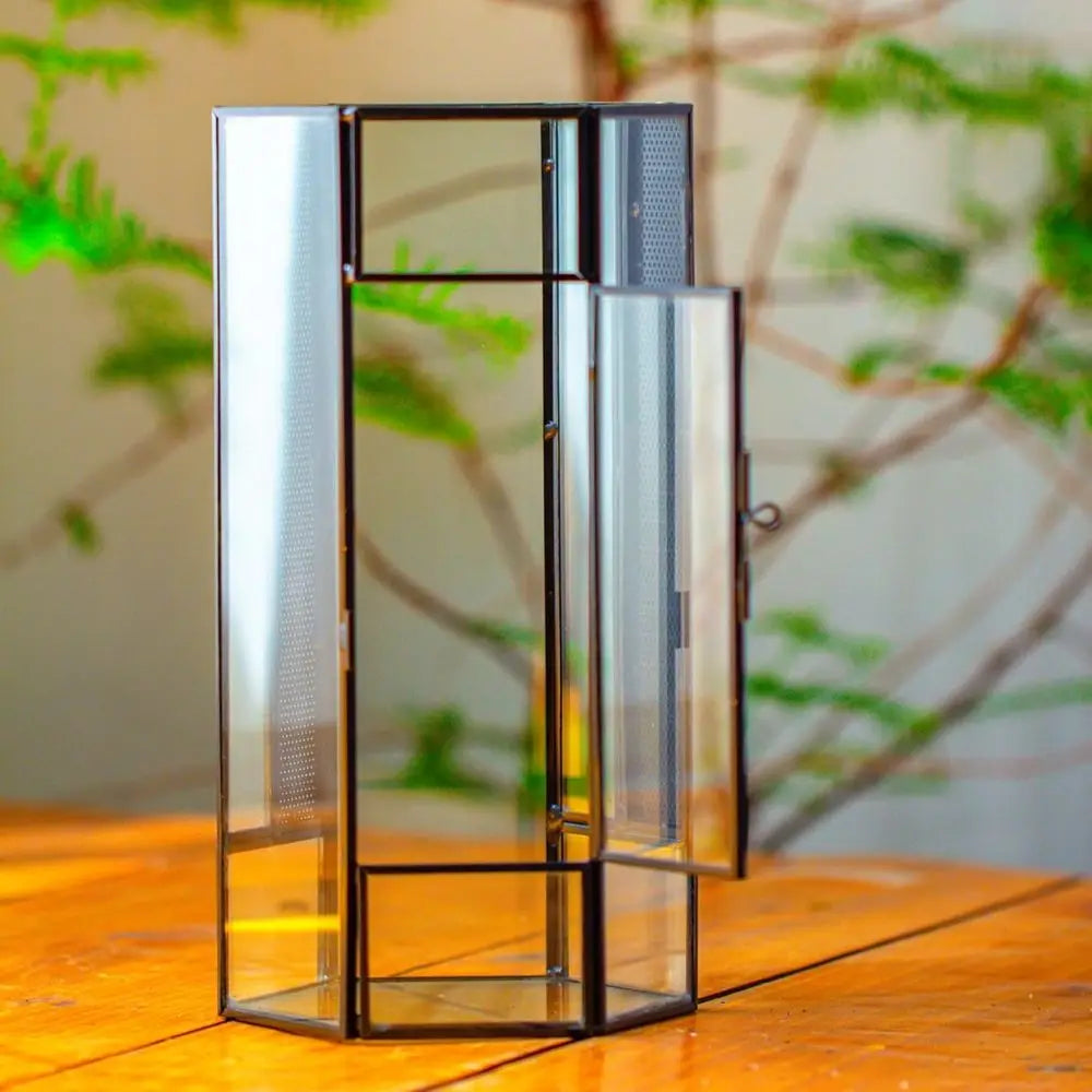 Small Glass Enclosure for Jumping Spiders