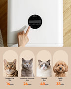 Automatic Pet Dryer for Cats/Small Dogs