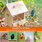 Bird Nesting Material Mix
