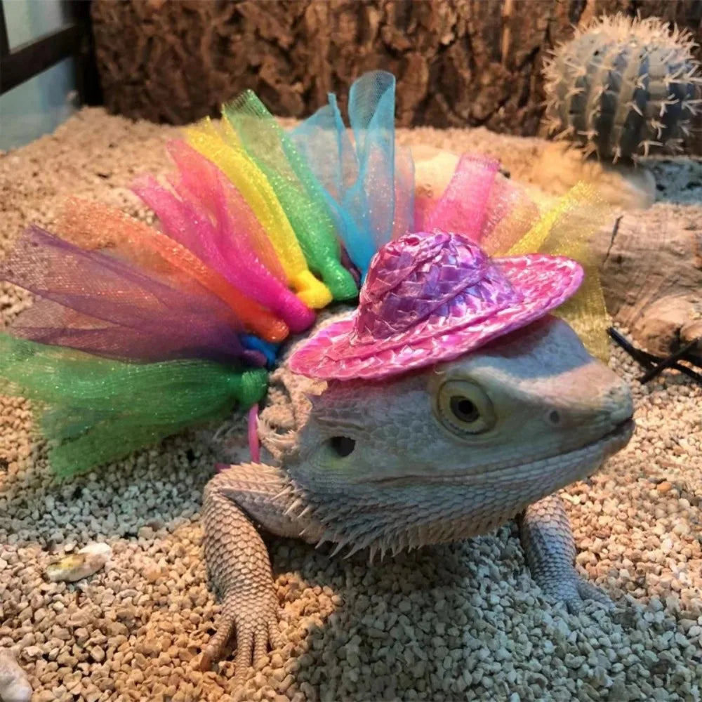 Bearded Dragon Costume Hat