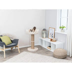 Cat Scratching Post