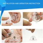 Grass Tank Snail Removal Trapping