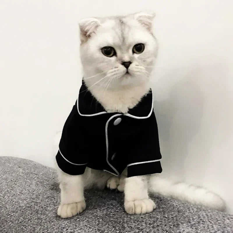 Cat Costume Sphynx Sweatshirt Suit