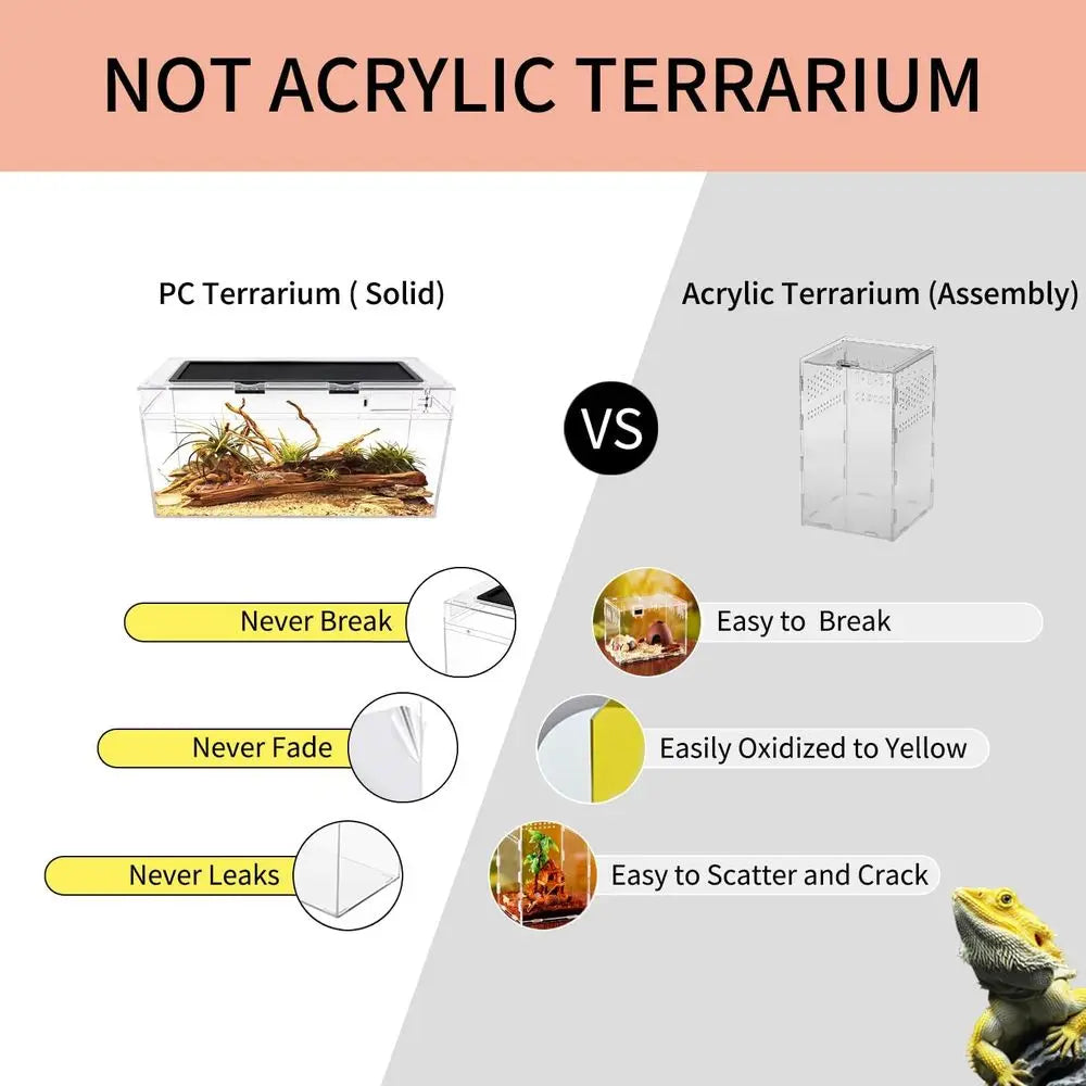 PC Terrarium Set, Reptile, Tarantula, etc.