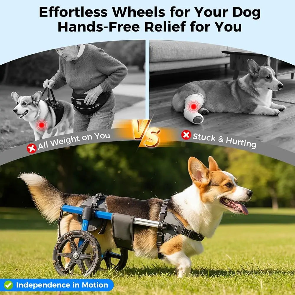 Medium Dog Mobility Cart