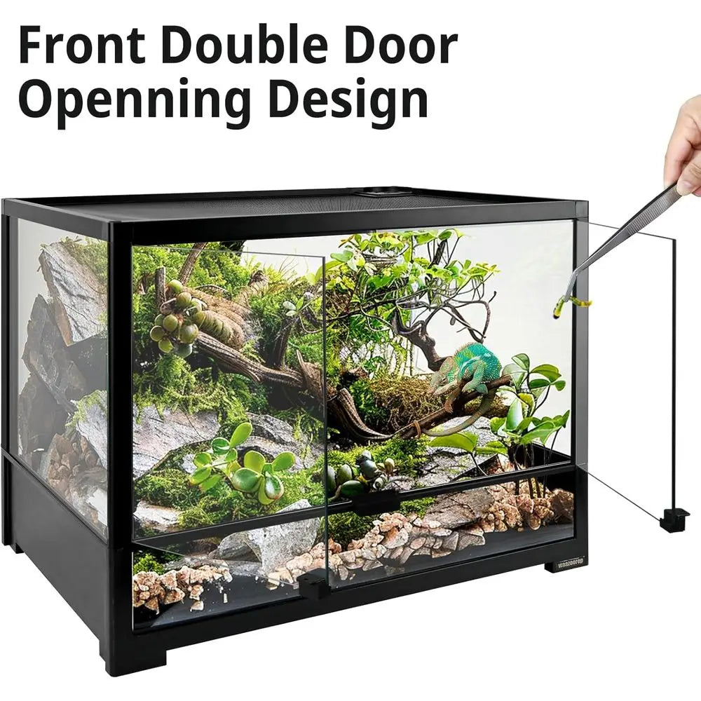 Glass Reptile Tank