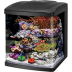Aquarium Kit for Saltwater/freshwater