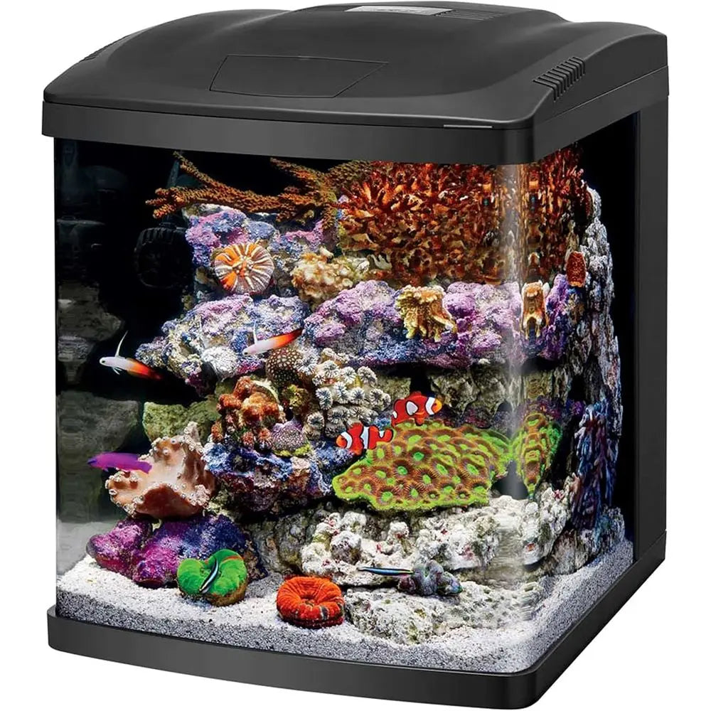 Aquarium Kit for Saltwater/freshwater