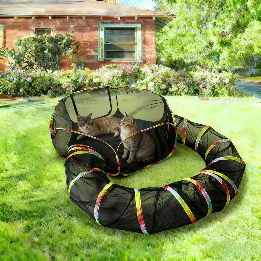 Cat Enclosure