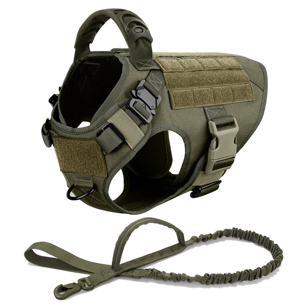 Large Dog Harness/Leash Set