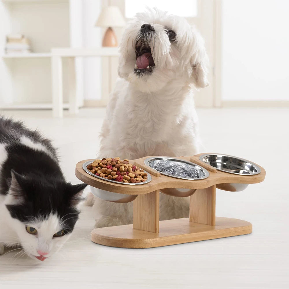 Raised Cat Feeder