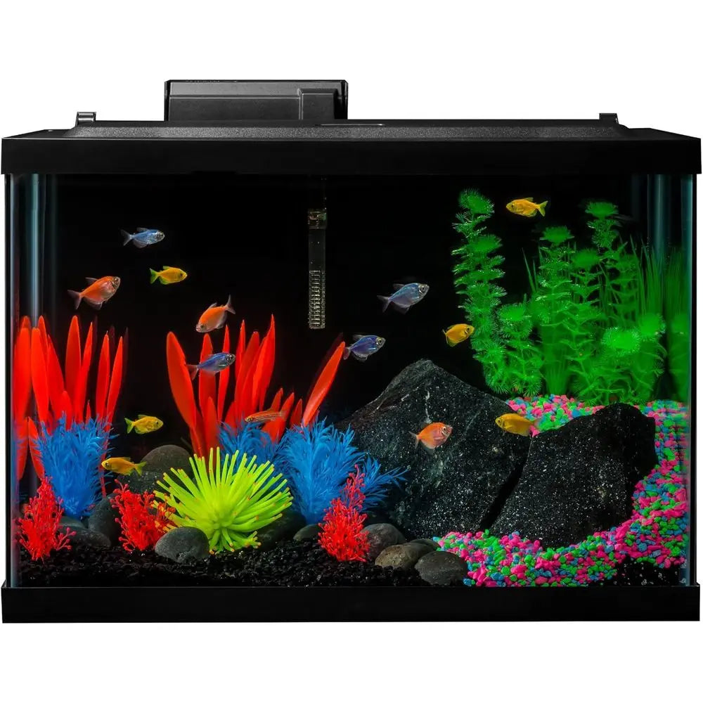 20 Gal Aquarium Kit
