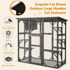 Cat Enclosure