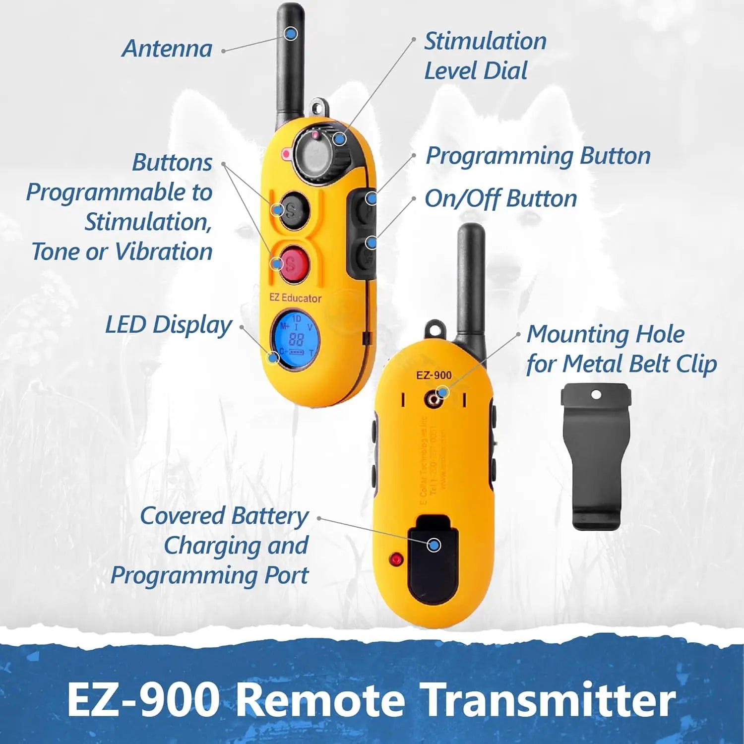 Collar for Dog Training with Remote
