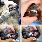 Dog Tooth Cleaner