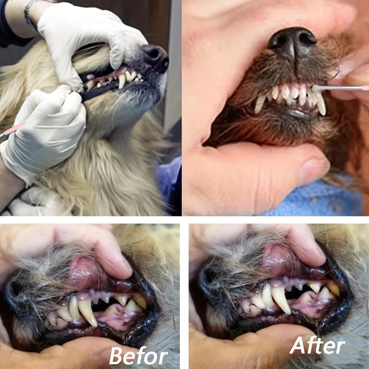 Dog Tooth Cleaner