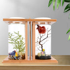 Glass Betta Fish Tank with LED Light