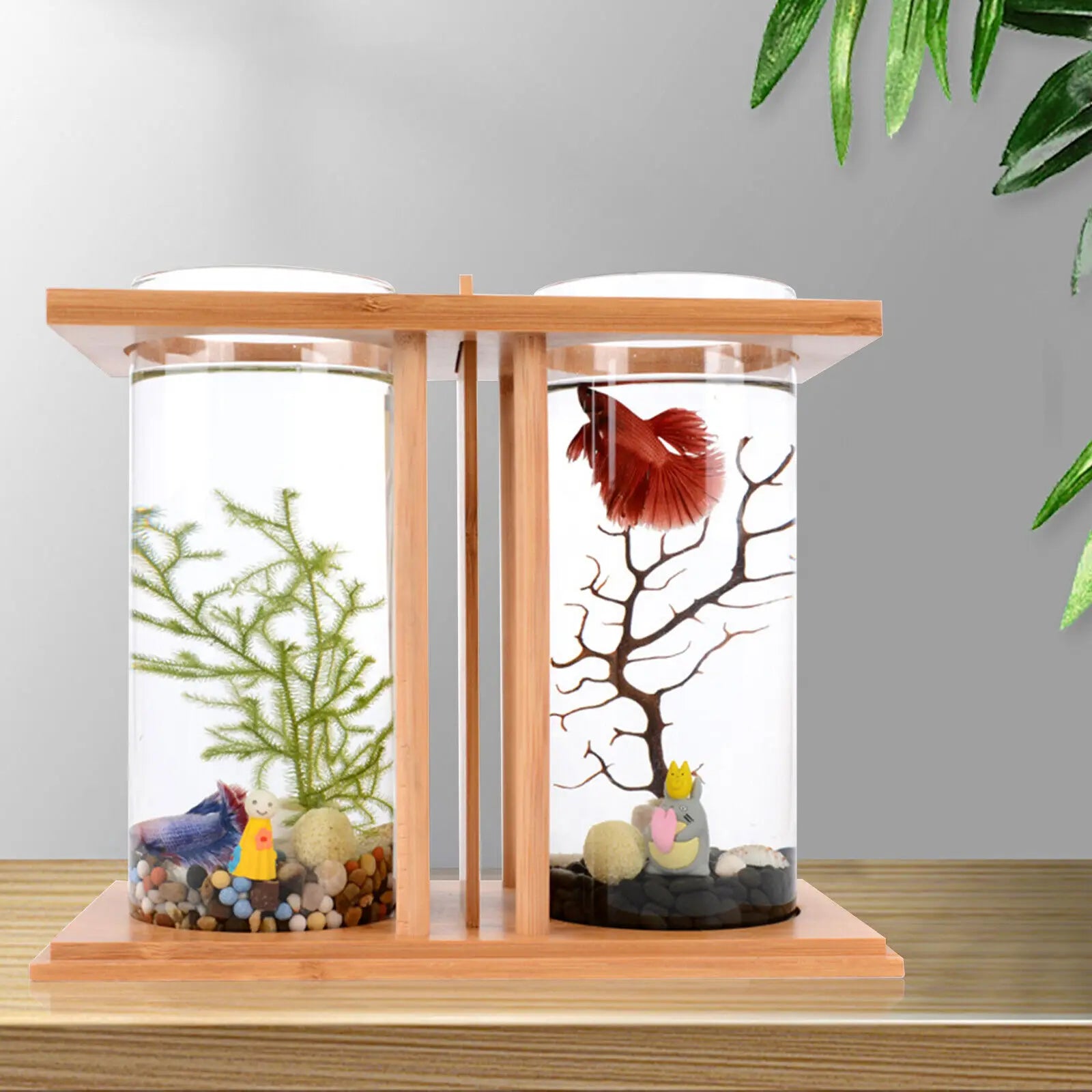 Glass Betta Fish Tank with LED Light