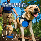 36 Inch Portable Soft Dog Crate