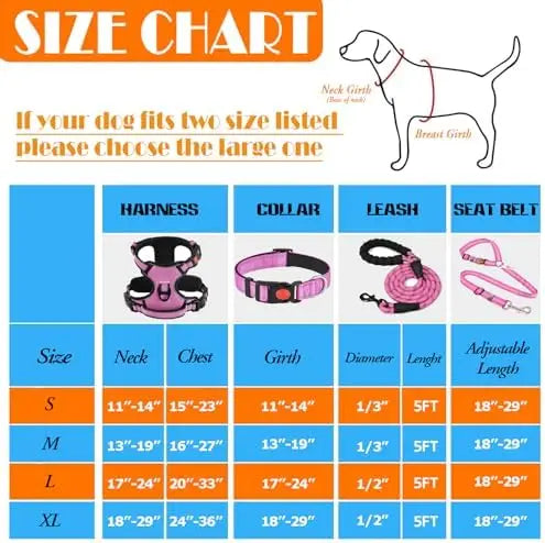 Training Kit for Dogs