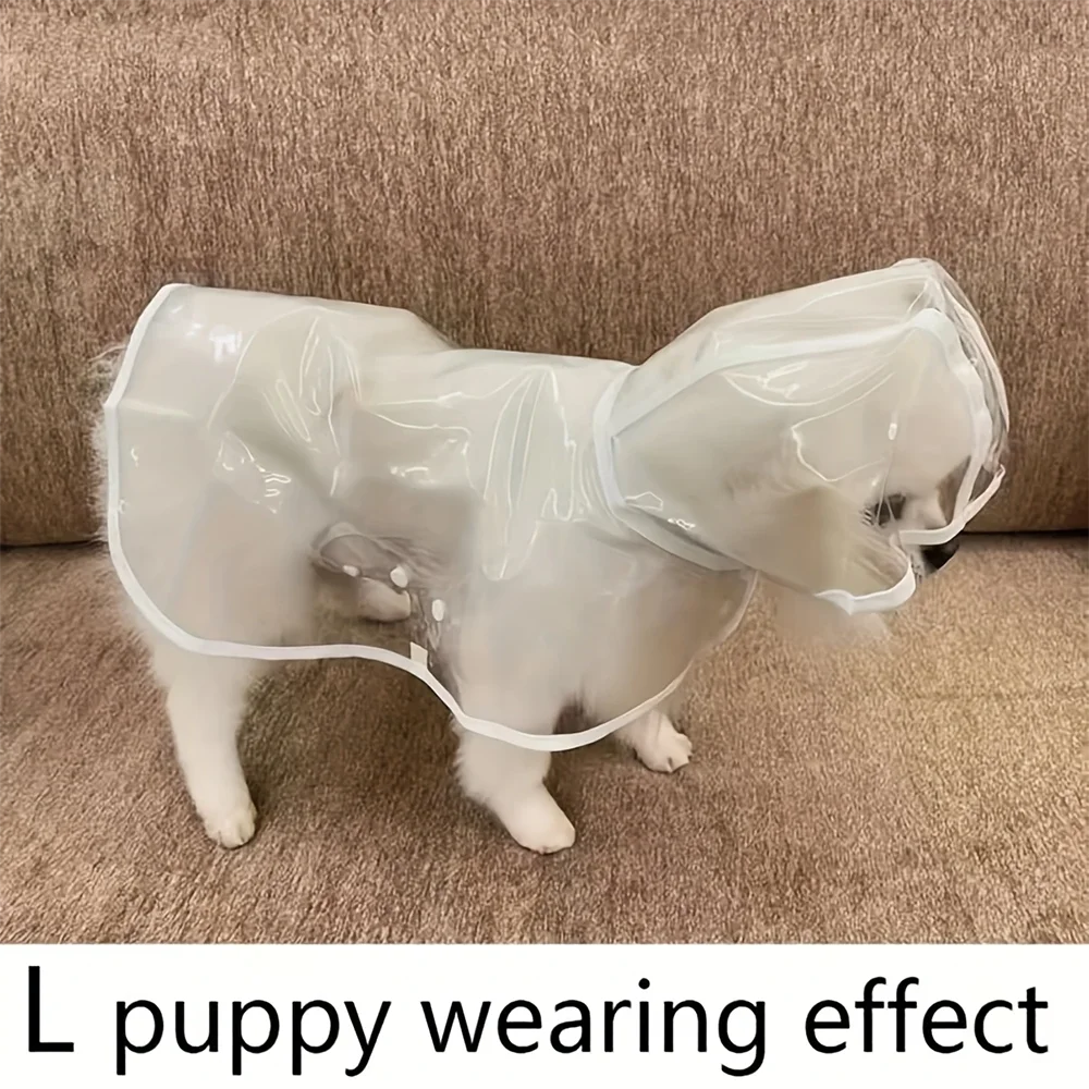 Transparent Raincoat