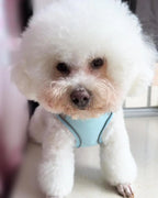 Dog Harness with No-Pull Design
