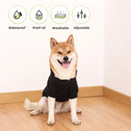 Winter Dog Clothes