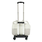 Pets Go Out with Portable Trolley Cases