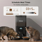 Automatic Cat Feeder for Two Cats