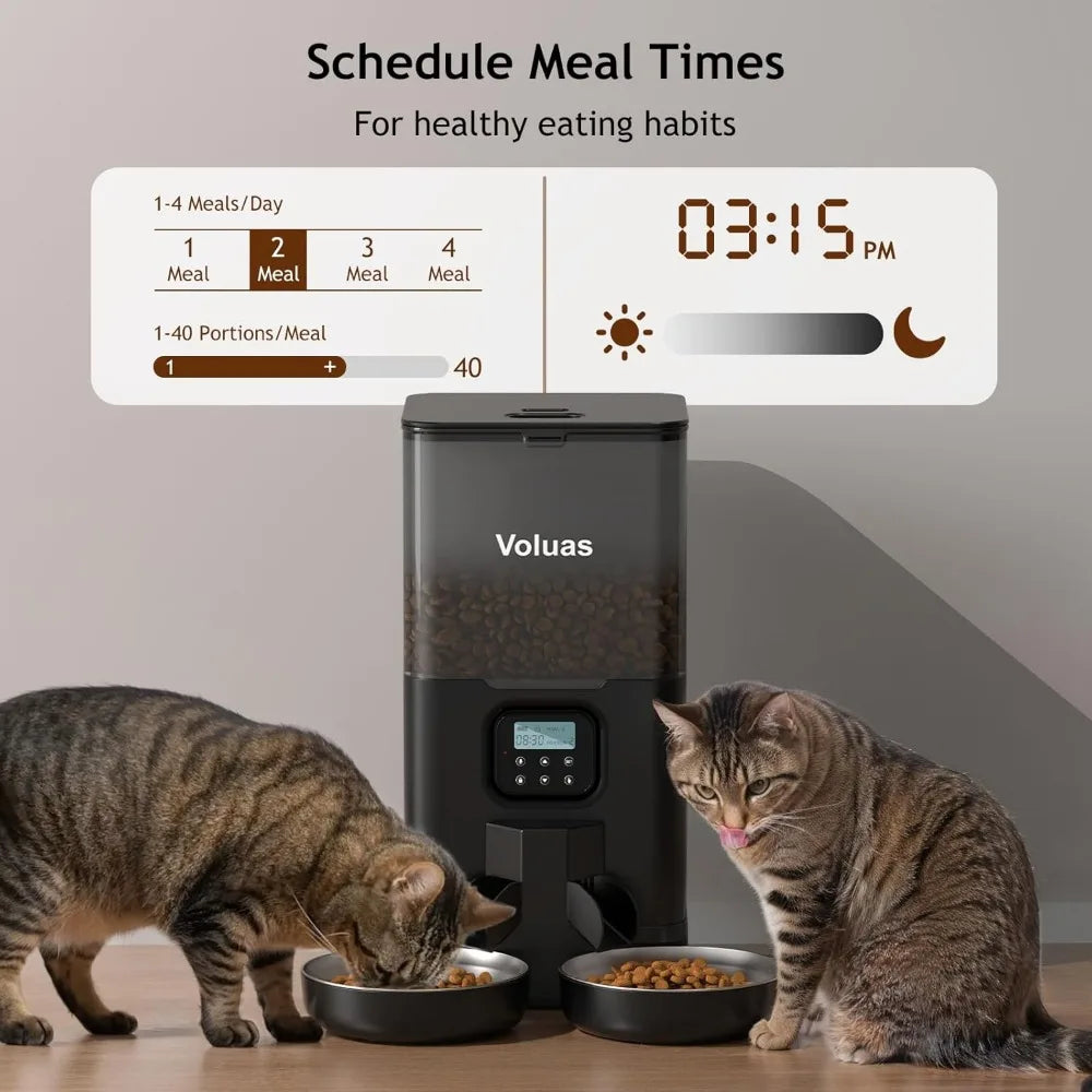 Automatic Cat Feeder for Two Cats