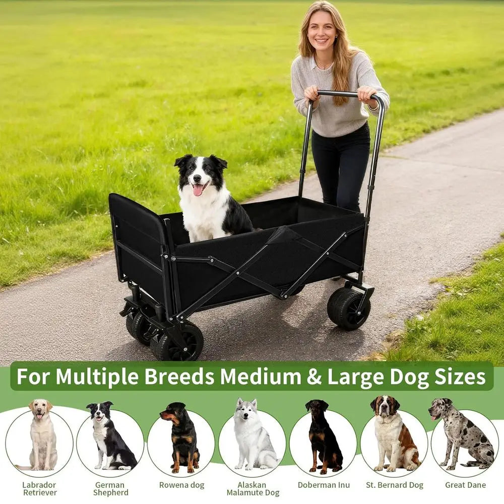 Stroller for Large Dogs