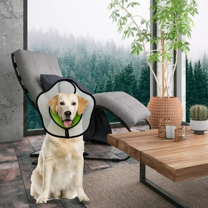 Pet Recovery Dog Cones