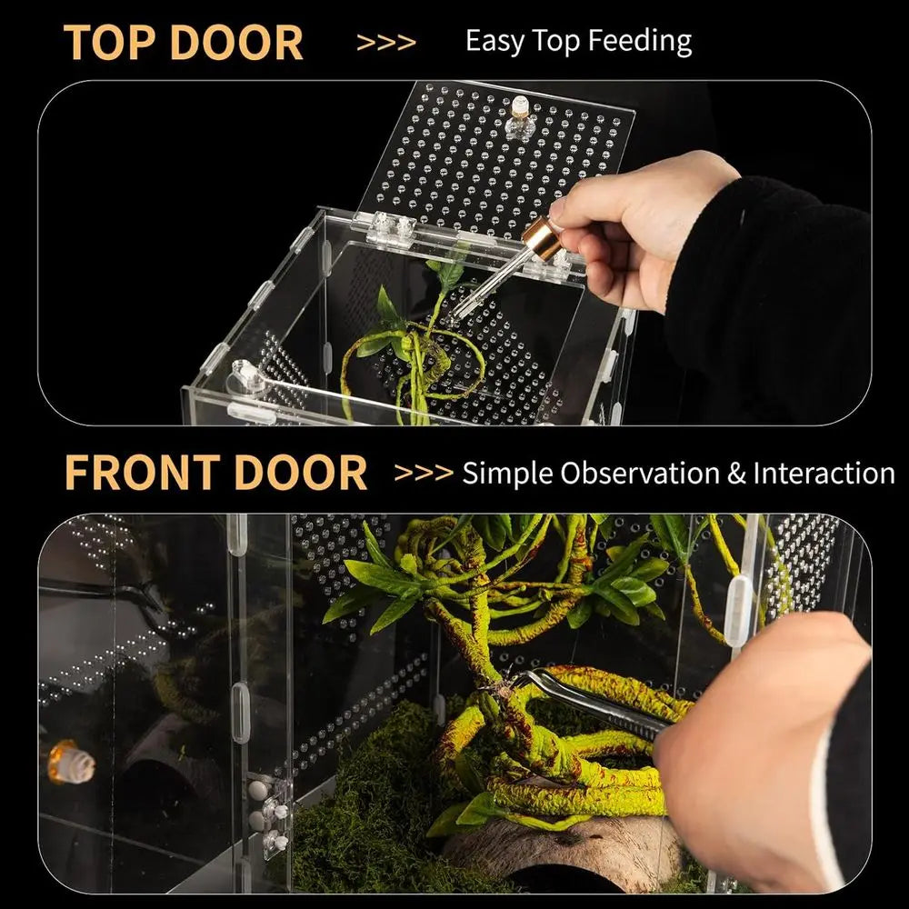 Acrylic Reptile Terrarium