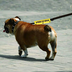 Funny Leash Sleeve