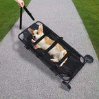 Pet Stretcher Veterinary Transport