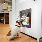 Cat/Dogs Flap Doors Safety