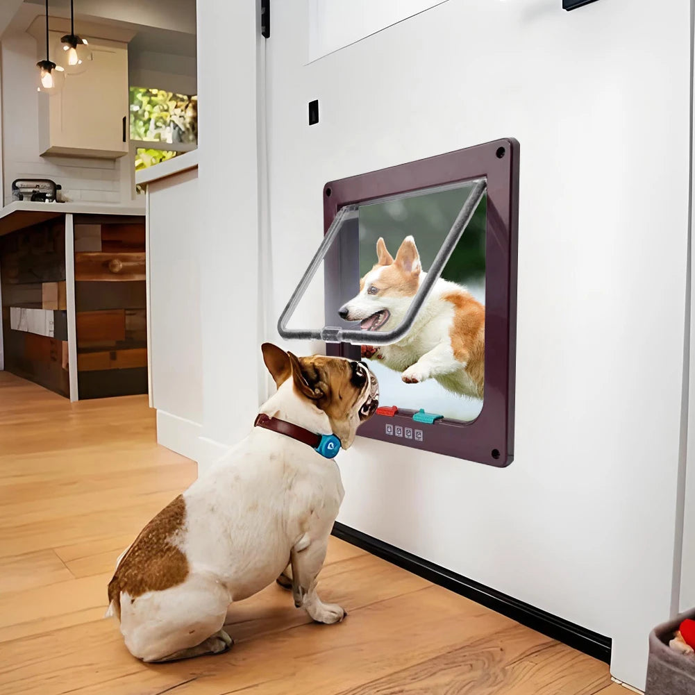 Cat/Dogs Flap Doors Safety