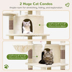 Cat Tree for Large Cats