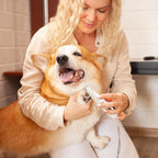 Pet Grooming Clipper with LED Light