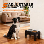 Adjustable Height Dog Bowl Stand