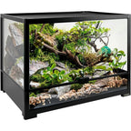 Glass Reptile Tank