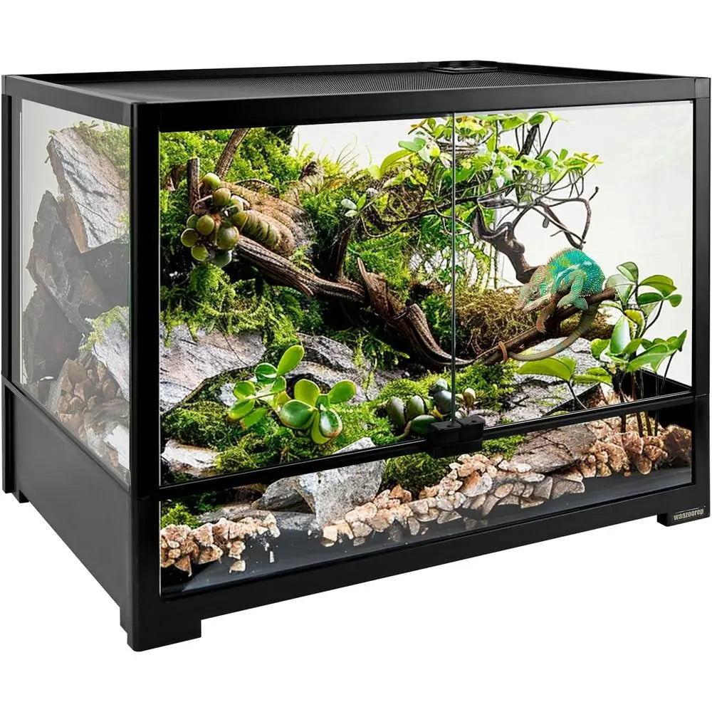Glass Reptile Tank